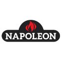 Napoleon Fireplace and Stoves