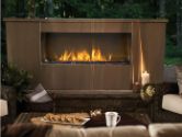 Napoleon Outdoor Fireplace and Heating