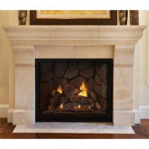 Empire Tahoe Clean-Face Direct-Vent Luxury Fireplace - 36 inch