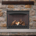 Napoleon Ascent 42 Gas Direct Vent Fireplace - B42NTR - view 1