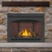 Napoleon Ascent 46 Gas Direct Vent Fireplace - B46 - view 5