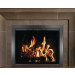 Thermo-Rite Fireplace Glass Door - Chalet Quick Ship