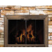 Design Specialties Glass Fireplace Door - Savannah 