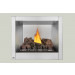 Napoleon Riverside 36-Inch Outdoor Gas Fireplace- GSS36CFN