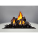 Napoleon Riverside 42-Inch Outdoor Gas Fireplace- GSS42CFN