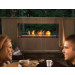Napoleon Galaxy Outdoor See Through Gas Fireplace- GSS48ST