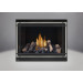 Napoleon HD46 Gas Direct Vent Fireplace - HD46 Silver Front Trim