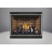 Napoleon HD46 Gas Direct Vent Fireplace - HD46 Silver Front With Brick