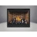 Napoleon HD46 Gas Direct Vent Fireplace-HD46NT-2