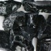 American Specialty Glass 1/2 Inch to 1 Inch Black Fire Glass - 10 Pounds 