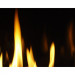 Napoleon Ascent 42 Gas Direct Vent Fireplace - B42NTR - flames