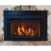 Majestic Ruby 35-Inch Gas Direct Vent Fireplace Insert - Propane - RUBY35IL