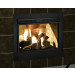 Majestic Indoor/Outdoor See Through Gas Fireplace- TWILIGHT-II-C